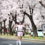 제31회 경주벚꽃마라톤 패키지 및 하프 참가 후기