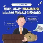 초보사업자 쇼핑몰 사업계획서 작성법 정부지원사업 선정까지 노노스 성과기록!