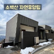 소백산 자연휴양림 숙박,시설 후기 근처 장볼만한 곳