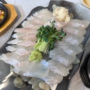 강서구 / 송정역 횟집 : 해물나라고래이야기