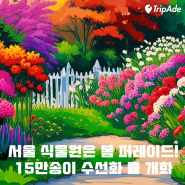 서울식물원 15만송이 수선화 튤립 개화
