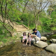 서울 아이랑 나들이 상암 난지천공원 피크닉 돗자리 잔디광장 추천