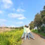 이국적인 풍경~광평리 제주 동백 유채꽃 명소 (찾아가는 방법)