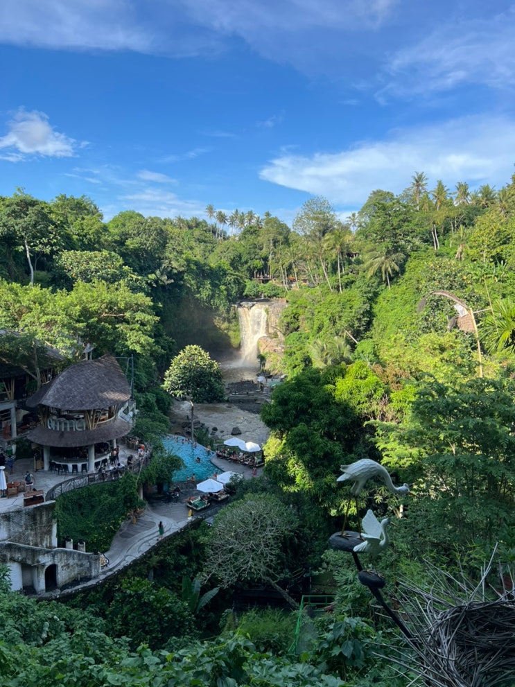 발리 우붓 Tegenungan waterfall 뜨구눙안 폭포 + omma dayclub bali / 우붓 데우....