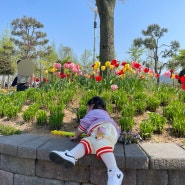 목포 / 삼학도공원 / 튤립축제 🌷 우리가족 피크닉