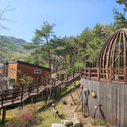 대전광역시 여행 (중부권 대표 산림복지시설 : 국립대전숲체원)