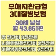 무해지환급형으로 3대질병보험을 준비해보세요