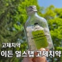 이든 얼스탭 고체치약 : 휴대하기 좋은 친환경 고체치약 추천