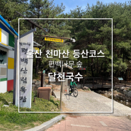 울산 천마산 등산 - 편백나무 숲, 아이와 가기좋은 등산코스, 달촌면가