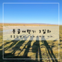 몽골 여행기(23.9.26 ~ 23.10.3) - 9월 28일, 홍골린엘스 고비사막을 오르며