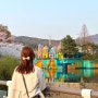 4월 과천 서울대공원 동물원 벚꽃 나들이 (주차O/코끼리열차/리프트 티켓 정보)