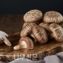 산림청 선정, 4월 이달의 임산물 ‘표고버섯’
