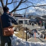 [신행❤️] 신치토세 공항에서 시코츠호 마루코마 온천 가는 방법
