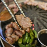[강남 삼성동] 김이정숯불구이 / 특수부위맛집 / 돼지고기 맛집