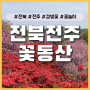 [전주] 겹벚꽃 명소로 유명한 꽃동산에서 꽃놀이 데이트 즐기기