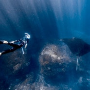 프린이의 성장일기 wave2 with freedive nusa