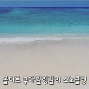 몰디브 쿠다 빌링길리 스노클링 :: 비치빌라, 워터빌라 라군에서 산호와 물고기 구경하기