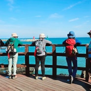 바람에 실려 보낸 햇빛엽서