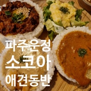 서울 근교 파주 운정 애견동반식당 소코아 내돈내산