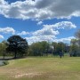 봄 맞이 골프 라운딩 미국 조지아 애틀란타 샤또 엘란 골프 클럽 Chateau Elan Golf Club