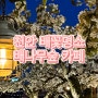 [내돈내산] 천안 배꽃 명소 배나무숲 카페 솔직 후기