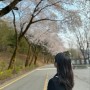 서울 근교 나들이, 경마공원 무료입장!