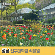 신구대식물원 튤립축제 2024 꽃길따라 향기따라 (올해도 방문)