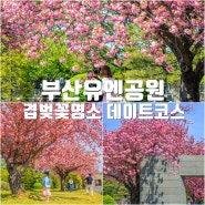 부산 데이트 가볼만한곳 유엔공원 겹벚꽃 명소 개화시기 (4월 14일)