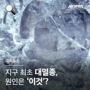 [극지연구소 연구리포트] EP.03 지구 최초 대멸종, 원인은 '이것'?