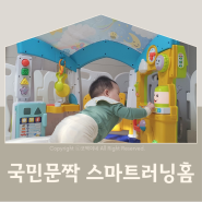 국민문짝 피셔프라이스 스마트러닝홈 13개월 돌아기 장난감 추천