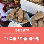마효능 TOP4, 산마(참마) 부작용 마즙 먹는법은?