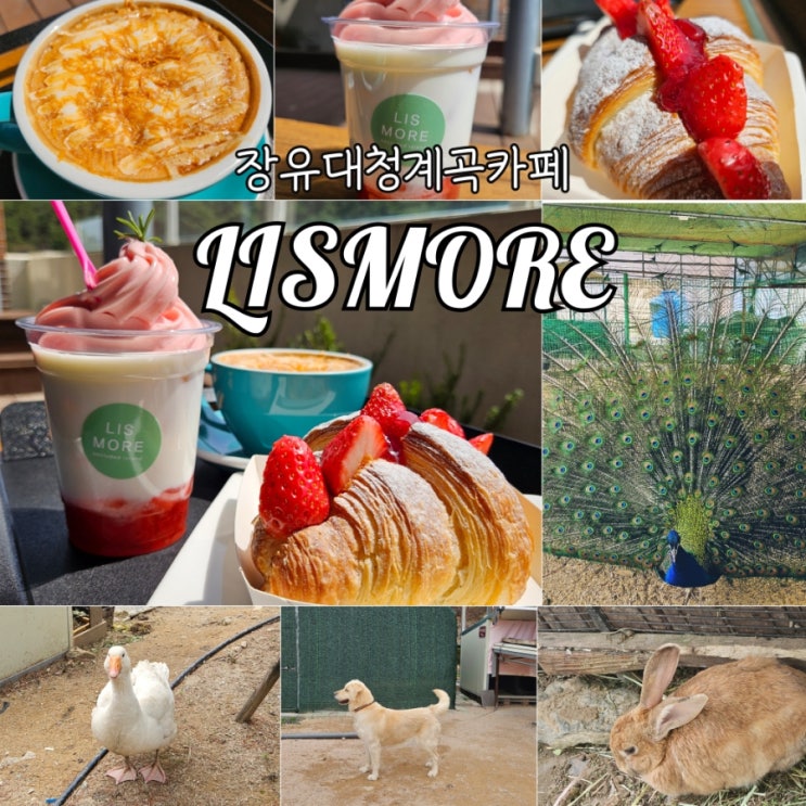 김해 장유대청계곡카페 LISMORE 리스모어 동물원이 있는...