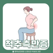 척추 측만증｜평택성모병원 신경외과 박호영 과장