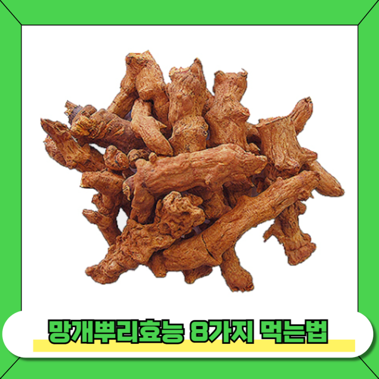 망개뿌리효능 8가지 먹는법 부작용 항암 해독 작용 : 네이버 블로그