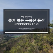 즐겨 찾는 대전 구봉산 #구봉산등산 #대전구봉산 #구봉산등산코스