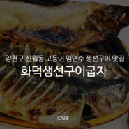 양천구 신월동 고등어 임연수 생선구이 맛집 : 화덕생선구이굽자
