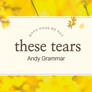 비올 때 자꾸 듣게 되는 곡, 이별 후 혼자되는 법을 말하는 노래 these tears, Andy Grammar