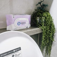 깨끗한나라 비데물티슈 처리 방법! 위생적인 물에 녹는 화장실 물티슈