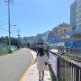 부산 해운대 블루라인 파크 해변열차 예약 시간표