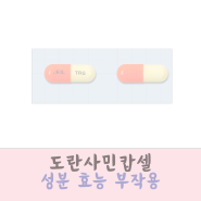 도란사민캅셀 성분 효능 부작용 정리