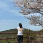 4월 여행지 서해안 태안 펜션 에서 1박2일 힐링여행(feat. 조각공원) 산책하기 좋은곳