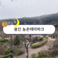 용인 농촌테마파크 아이와함께 피크닉 주말나들이