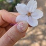 범계 네일아트 맛집 [ 플라플라 범계점 ] 벚꽃 네일아트 담기!! (ft.서아디자이너)