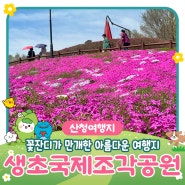 국내 가볼만한 봄축제 추천 : 꽃잔디 만개한 생초국제조각공원 꽃잔디축제