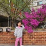 아이와 함께 산책하기 좋은 공원 성남 태평공원(밀리언공원)에 다녀왔어요!