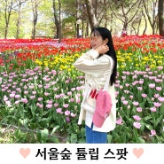 서울숲 튤립 4월 가볼만한곳 데이트명소