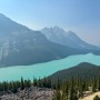 [캐나다 로키] Crowfoot Glacier, Bow lake & Peyto lake / 아이스필즈 파크웨이