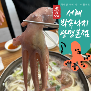 🌊광명연포탕의 진수, "서해박속낙지"에서 맛 본 박속낙지의 시원한 국물과 환상적인 쫄깃함