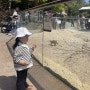 서울 어린이대공원 동물원 피크닉