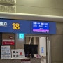 중국 칭다오 2박3일 자유여행 1. 퇴근 후 인천공항에서 산동항공타고 자오둥 국제공항 이동하기